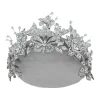 Sparkling diamond-encrusted butterfly flower headwear, fashionable and elegant wedding hair accessories, girls' hair accessories, headwear accessories Item Picture